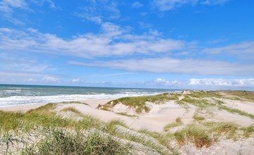 "Herfrith" - uit de zee in West-Jutland 3