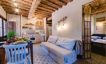 Violapo bij het kasteel 3