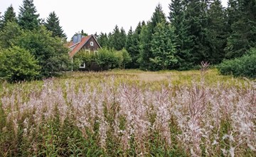Appartement in Altenau mit Garten 3