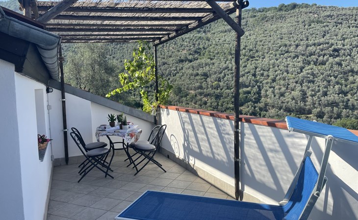 Asplanato (DOL161) 1