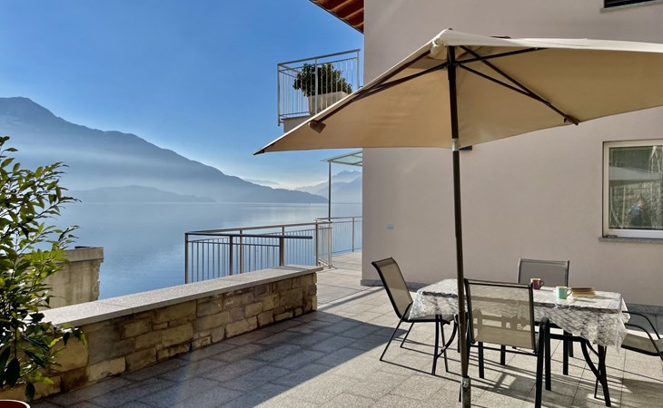 Sonnenblume (GLA128) 1