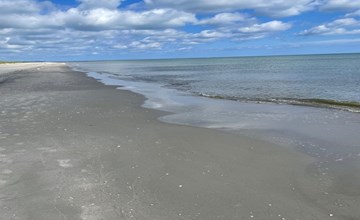 „Poul“ – 100 m vom Meer entfernt in Nordostjütland 3