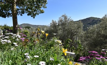 Finca El Corinto - Ein verwunschener Ort 3