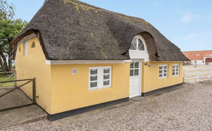 "Miko" - 19km from the sea in Western Jutland 1