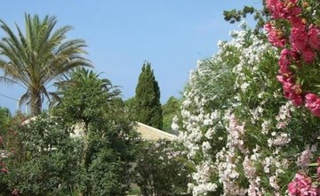 Schöner zentraler Bungalow direkt am Sandstrand auf Sizilien 2