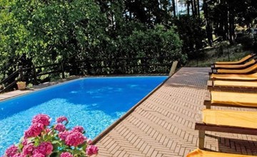 Wohnung in einer alten Villa mit Schwimmbad 3