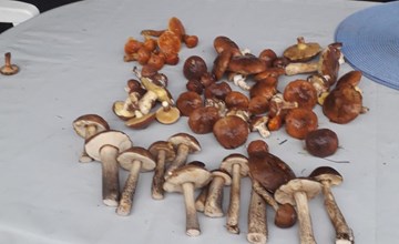 in Granzow mit Terrasse 3