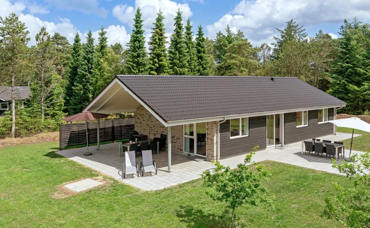 „Alona“ – 250 m vom Meer entfernt in Nordostjütland 1