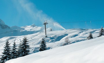 Superior Aclas Maiensäss Resort 3