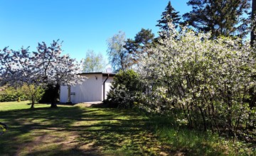mit Terrasse mitten im Grünen 3
