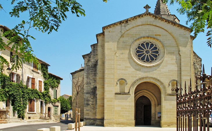 Die Mandelbäume (MZN100) 1