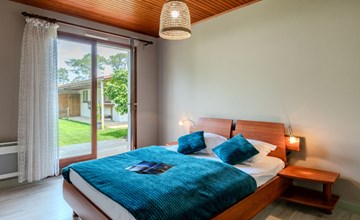 Zaunkönig 3