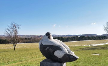 "Eicke" - 400m from the sea 3