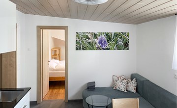 Ferienwohnung St. Gallenkirch 3