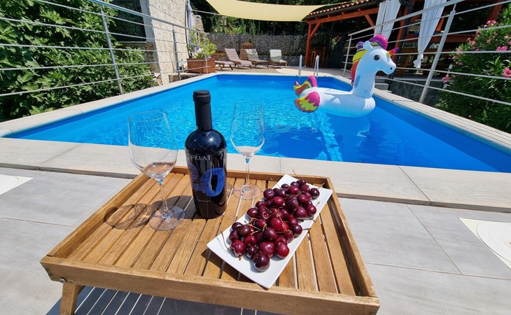 mit privatem Pool und Sauna 1