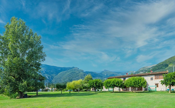 Die Pappeln (CMA108) 1