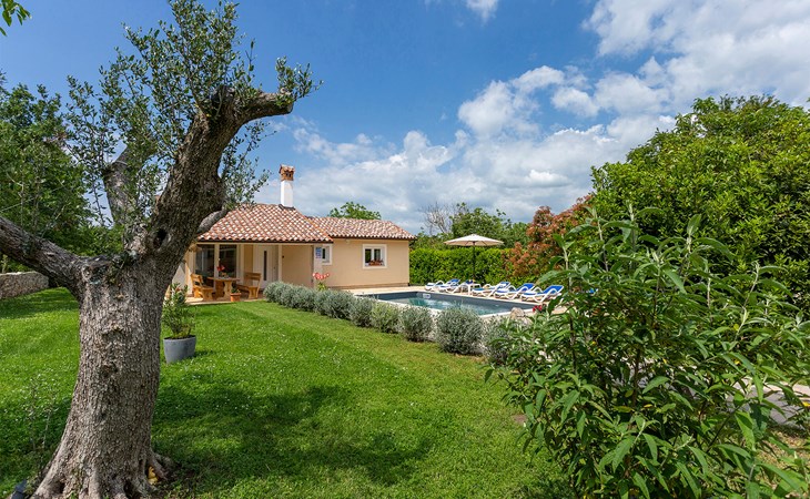 Villa Darko 1