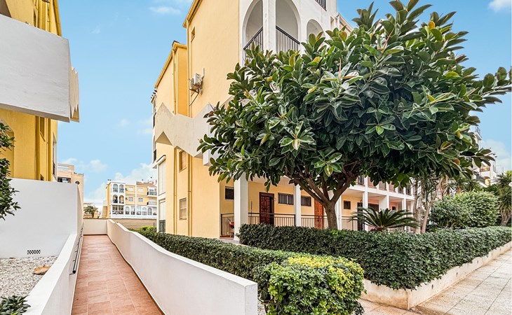 Haustierfreundliches Apartment in Torrevieja mit. 1