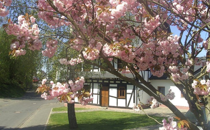 Romantisches Fachwerkhaus zwischen Rhein und Mosel 1