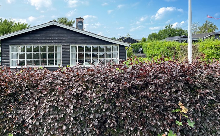 3 bedroom cozy home in Hejls 1