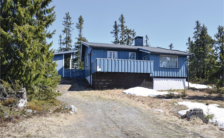 3 bedroom amazing home in Sjusjøen 1