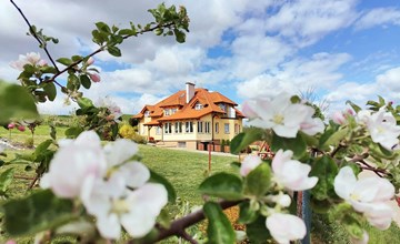 1 bedroom stunning apartment in Golubie 2