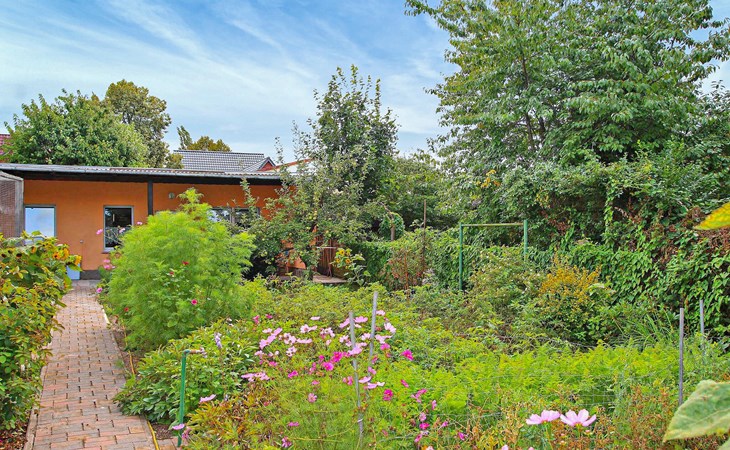 Pet friendly home in Waren (Müritz) with kitchen 1