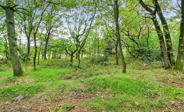 "Ellica" - 3km from the sea in SE Jutland 3