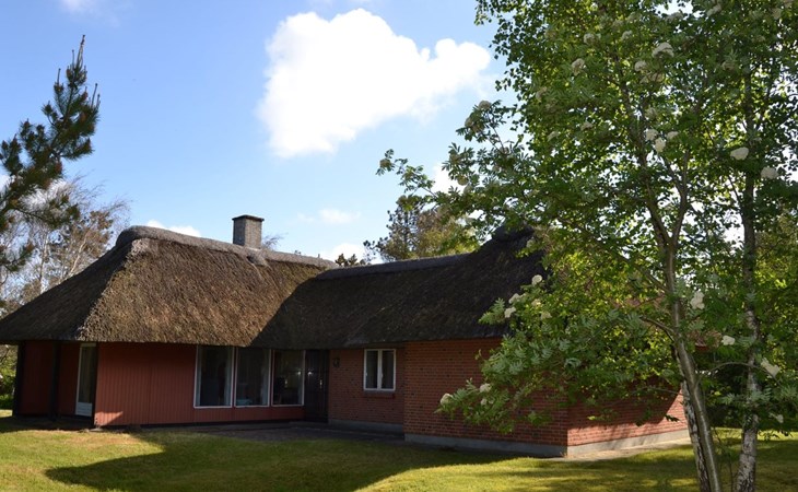 "Helline" - 900 meter van de zee in West-Jutland 1