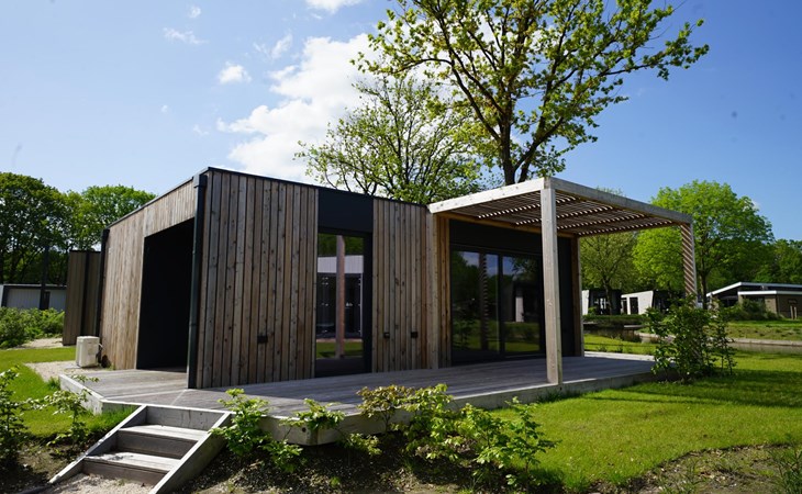 Domus 4 1