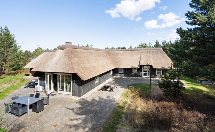 Stunning home in Blåvand with sauna 1