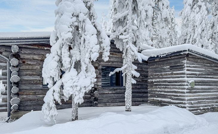 Ruka-bosje 1