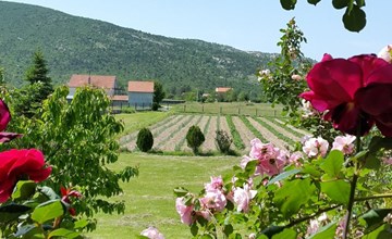 Anwesen "Villa Almas, Sauna, Fitnessraum, Multisport 3