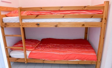 Die rosa Flamingos 2