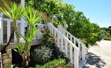 Moreshka 2