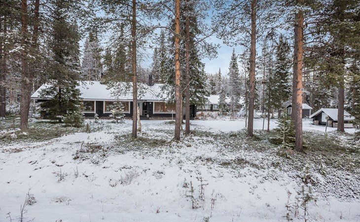 Harpa's hut/honeyberry 1