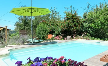 Sonnenblume (MZO105) 2