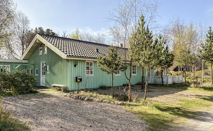 Pet friendly home in Hemmet with WiFi 1
