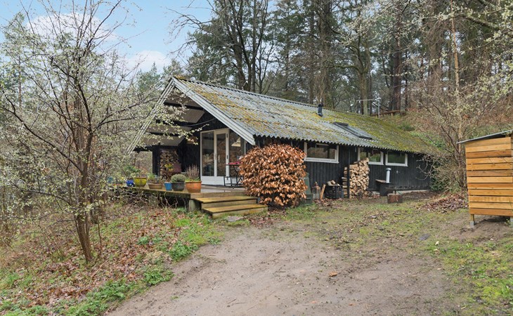 3 bedroom pet friendly home in Ebeltoft 1