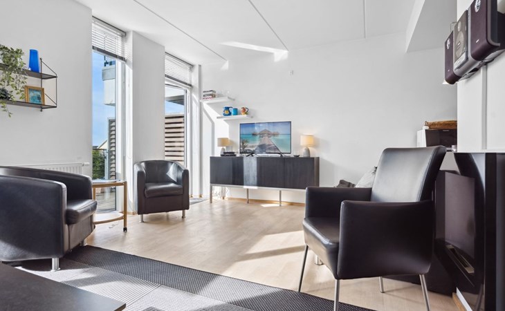 "Theis" - 100m from the sea in Western Jutland 1