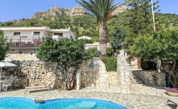 Patrizia's bougainvillea 2