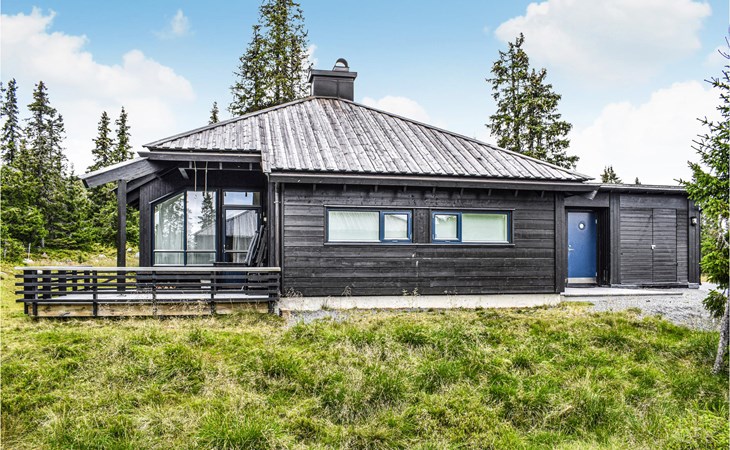 Stunning home in Sjusjøen with sauna 1