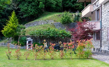 Grüne Weide (GLA134) 3