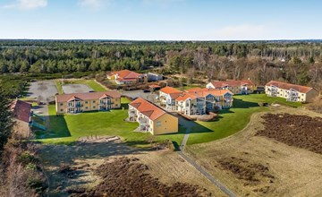 "Jyrki" - 100 meter van de zee in NO Jutland 3