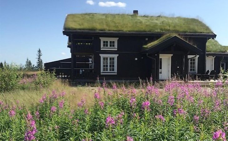 4 bedroom awesome home in Eggedal 1