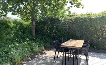 Populier 5 - Klepperstee Ouddorp 2