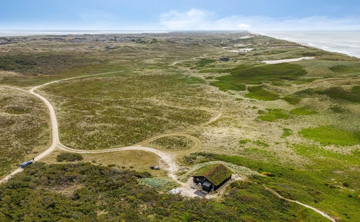 „Apolina“ – vom Meer in Westjütland 1