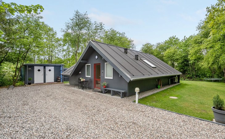 "Asulf" - 31km from the sea in Western Jutland 1