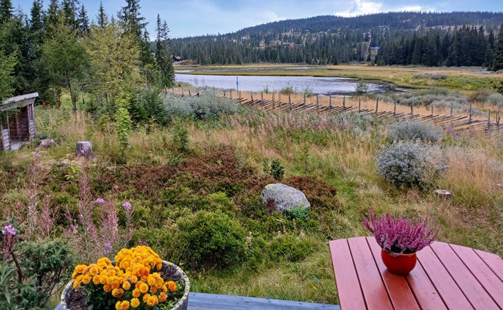 Awesome home in Lillehammer with sauna 1