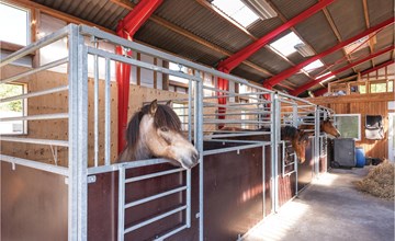 20 bedroom awesome home in Henne 2